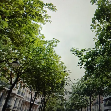 Grigorie Appartamento *